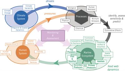 Developing a Social–Ecological–Environmental System Framework to Address Climate Change Impacts in the North Pacific